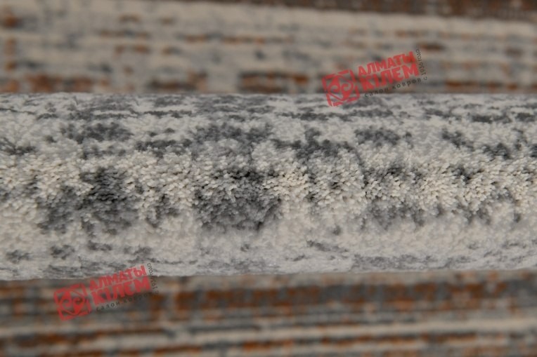 Argentum ковер 63482