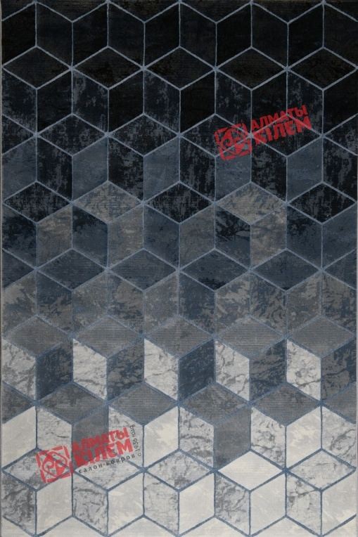 Ковер ARGENTUM 63488  6656