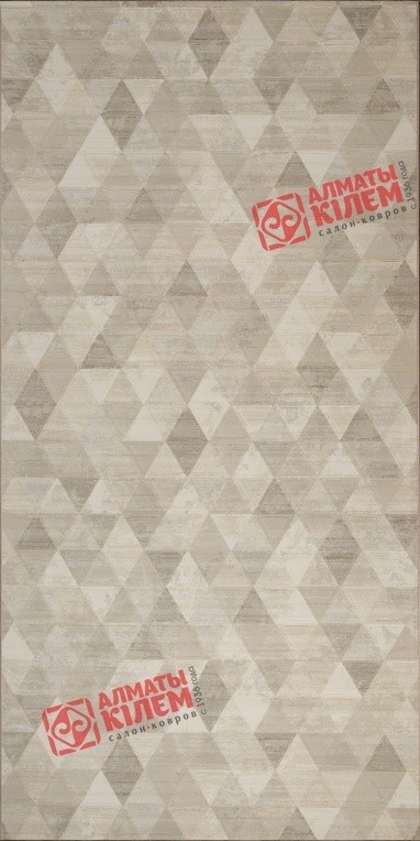 Ковер ARGENTUM 63263 6575