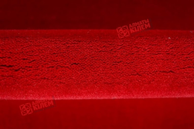 Дорожка ЧИНГИС  4R027 167