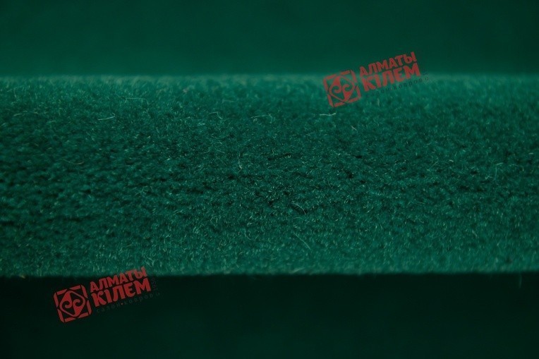 Дорожка ЧИНГИС  4R170 37