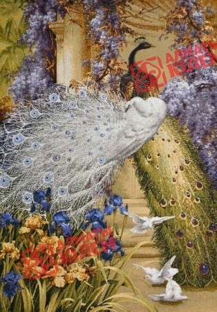 Гобелен "Павлиний дуэт" (багет темно-коричневый)