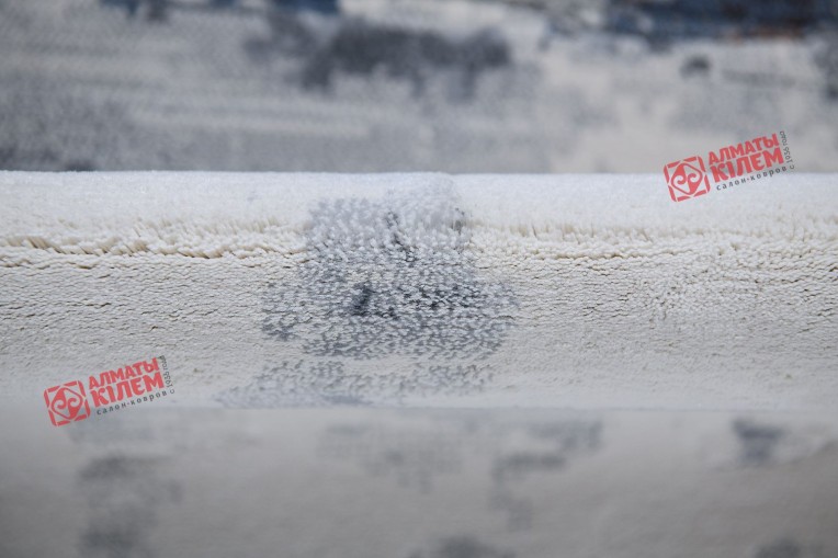 Ковер ARGENTUM 63354 6696