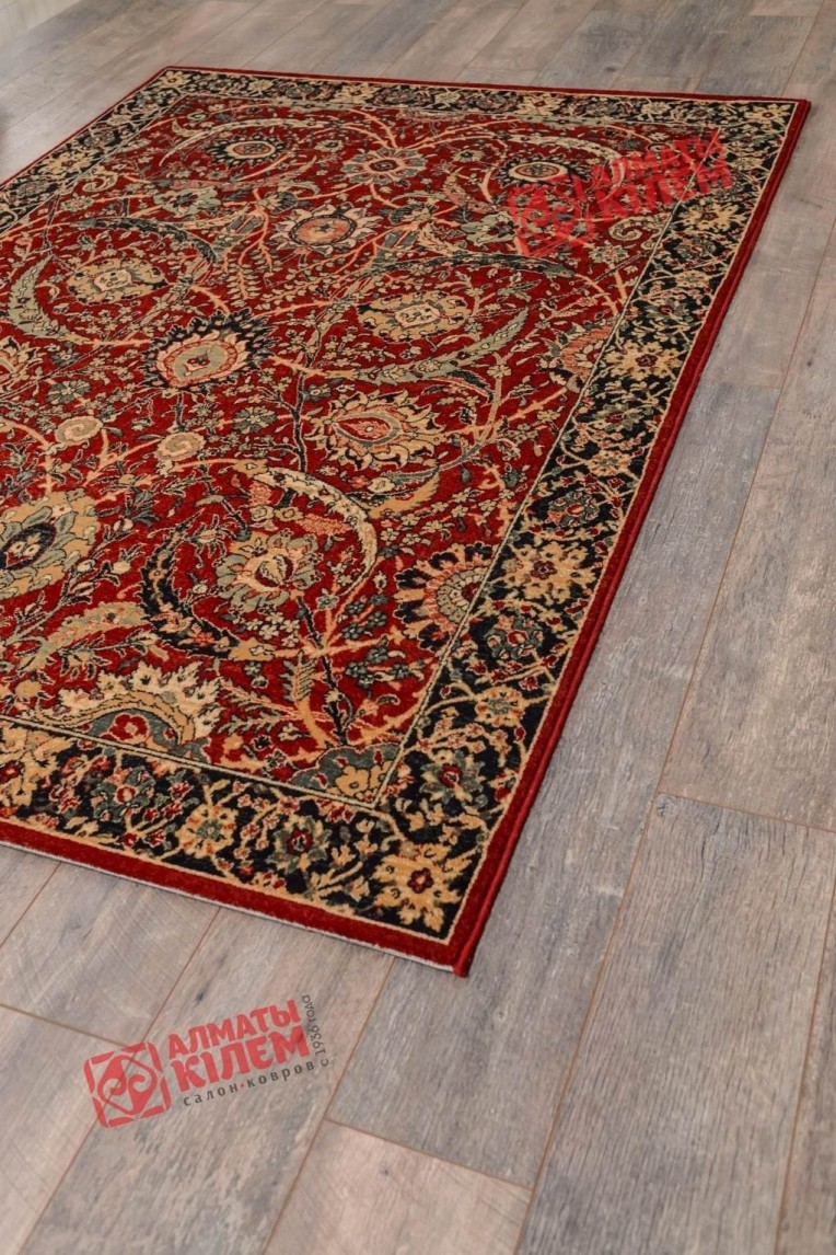 Ковер BELLA 6650 53488 только у нас!