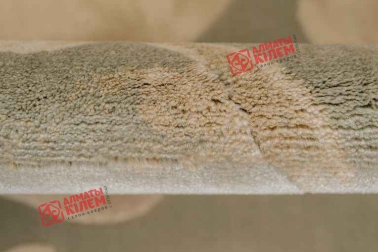 Ковер BELLINI 52103 241