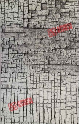 Ковер ЧИНГИС 4А2119 30