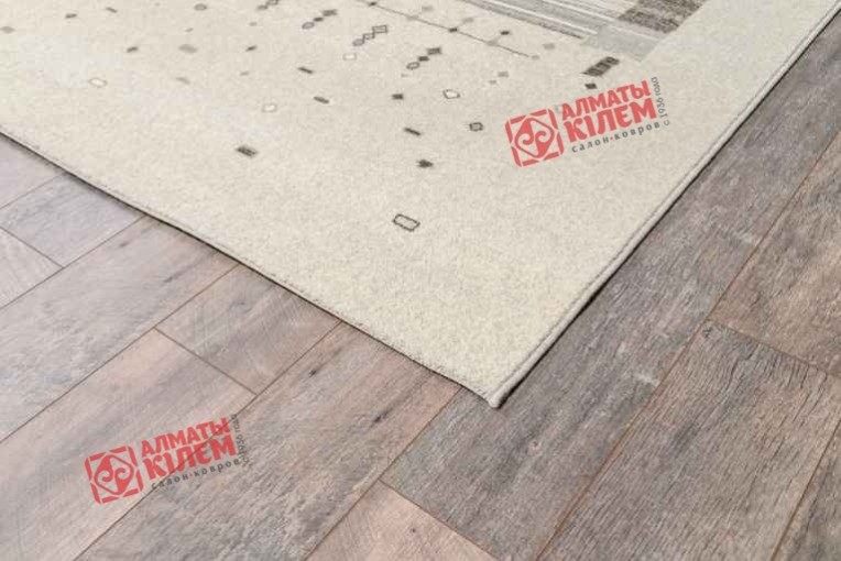 Ковер ECO 6538 59944 по лучшей цене в Казахстане