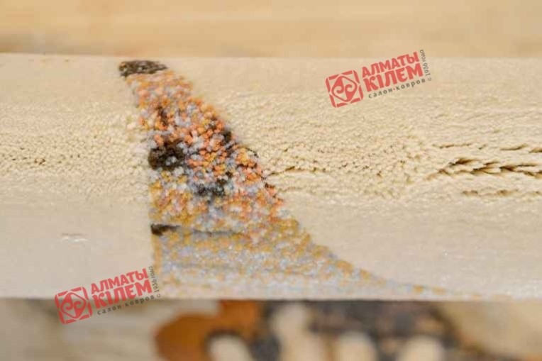 Ковер SUNDANCE 79319 3848