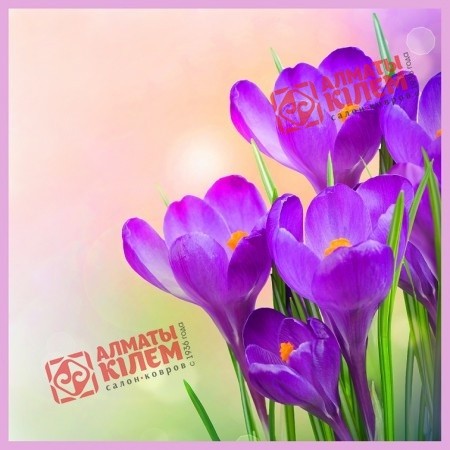 Наволочка шелк "Крокусы"