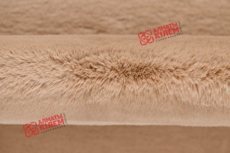 REX ковер 22001