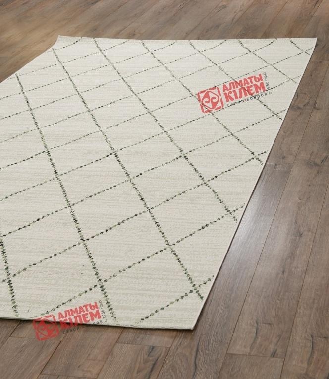 STAR ковер 19436 купить недорого